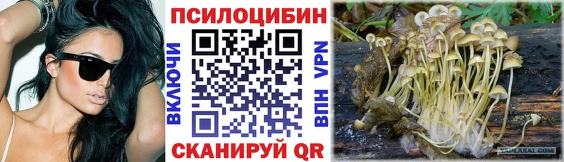 Псилоцибиновые грибы прущие грибы  маркетплейс состав  Ессентукская  купить закладку 